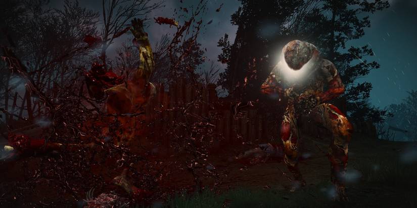 The Witcher: 10 Unanswered Questions We Still Have About Rotfiends