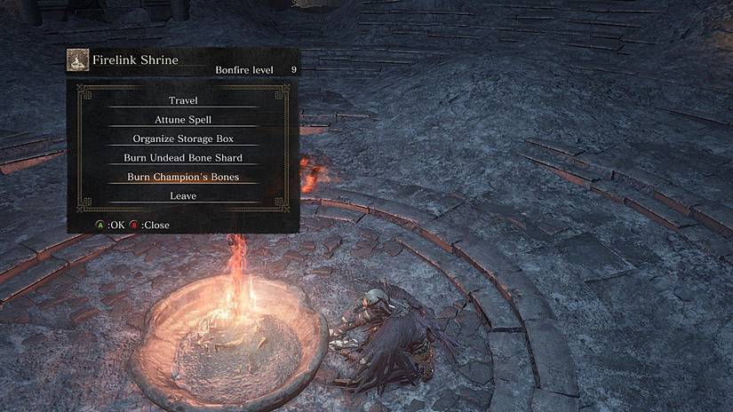 Dark Souls 3: 10 Things You Never Noticed In Lothric Castle