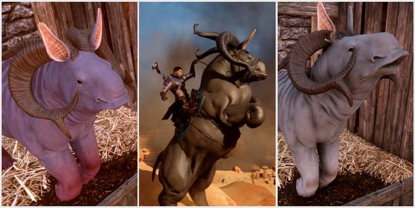 10 Secret Side Quests Everyone Missed In Dragon Age: Inquisition
