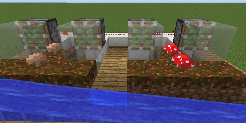 Minecraft: Everything You Need To Know To Grow Mushrooms