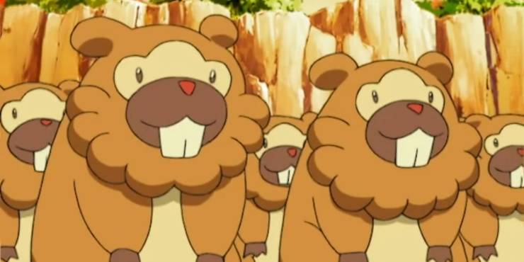 Une nuée d'innocents Bidoofs prêts à... prendre un coup dans l'anime Pokemon