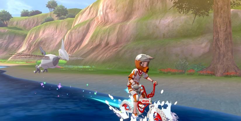Pokémon Sword & Shield: 10 Things You Missed About The Bike