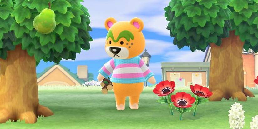 Animal Crossing: The 10 Coolest Bear Villagers To Get On Your Island ...