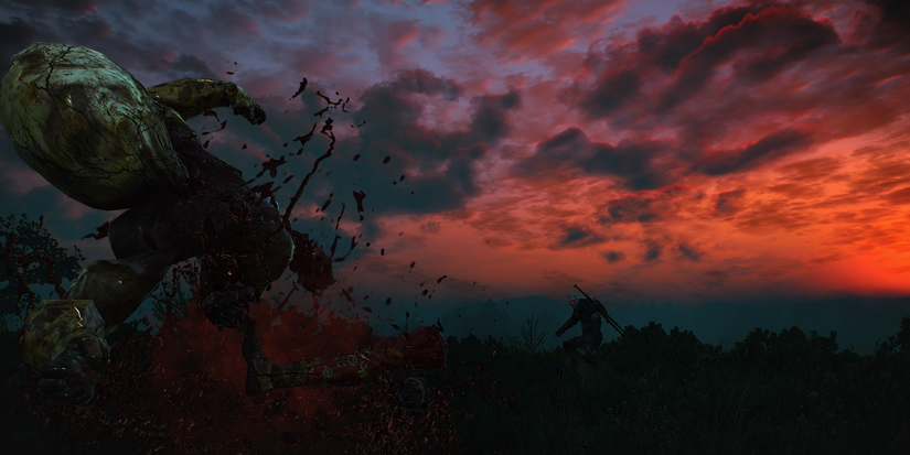 The Witcher: 10 Unanswered Questions We Still Have About Rotfiends