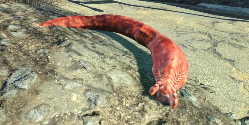 Fallout: The 10 Creepiest Bug Mutants, Ranked