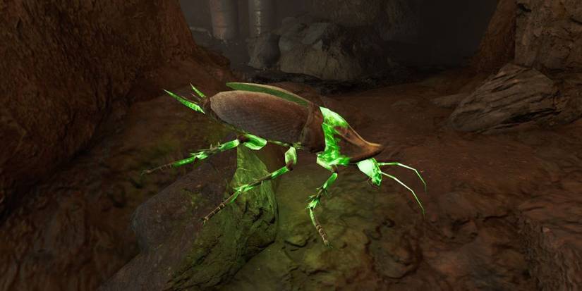 Radroacj Fallout: The 10 Creepiest Bug Mutants, Ranked