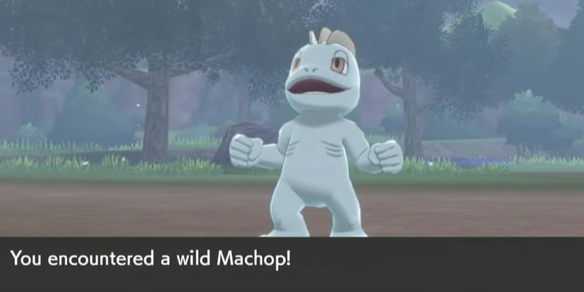 Pokémon: What Level Does Machop Evolve (& 9 Other Things You Need To ...