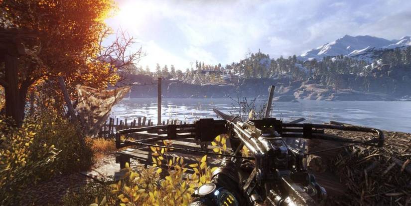 Taiga in Metro Exodus