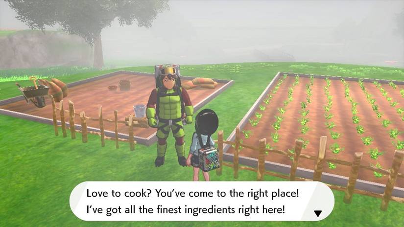 Pokémon Sword & Shield: The Isle Of Armor: A Guide To Find Every Useful ...