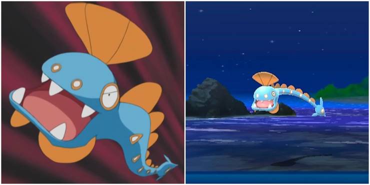 Pokemon Anime Anime Anime Angry Huntail and Huntail Wild Encounter