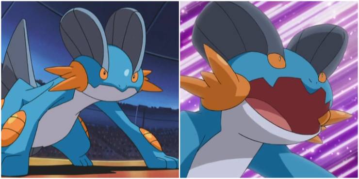 Pokemon Anime Swampert In Battle