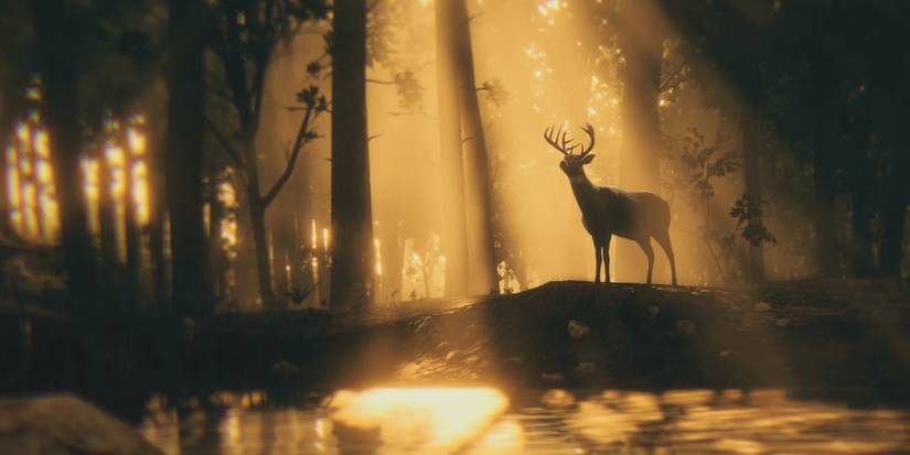 Pheseant Rdr2 Red Dead Redemption 2: 10 Tips For Getting Perfect Pelts