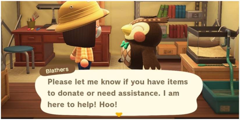 Animal Crossing: 10 Reasons Why Blathers May Hate Bugs So Much