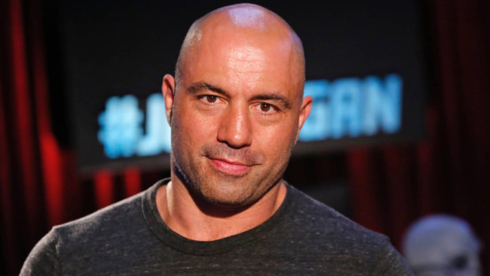 Rowan Rogan Joe Rogan's Critique Of Video Games Comes From A Place Of Personal ...