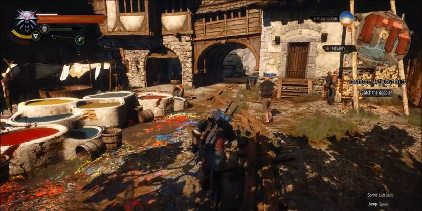 The Witcher 3: 10 Things You Didn't Know About Imps