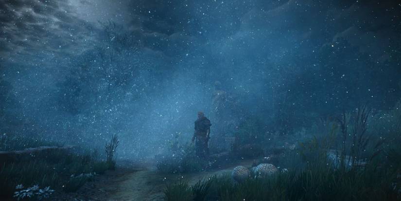The Witcher 3: 10 Things You Didn't Know About Foglets
