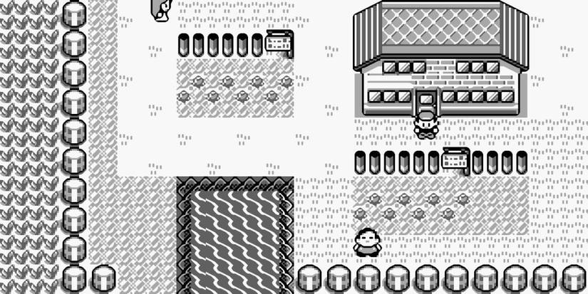 A Complete Beginner's Guide To Playing The Pokemon TCG