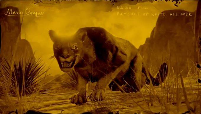 Night Beaver Rdo Red Dead Online - Where To Find All Legendary Animals