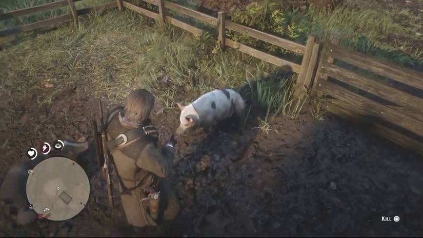 Red Dead Animals Ranges Red Dead Online - All Farmland Habitat Animals Guide