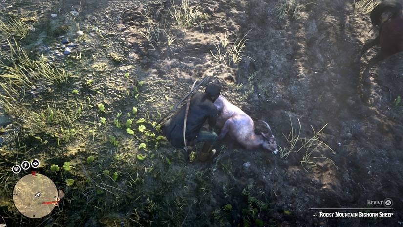 Red Dead Animals Ranges Red Dead Online - All Mountain And Grassland Habitat Animals Guide
