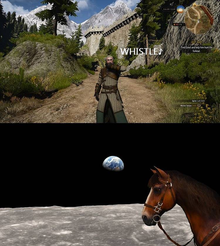 The Witcher 3: 10 Roach Memes That Prove The Game Makes No Sense