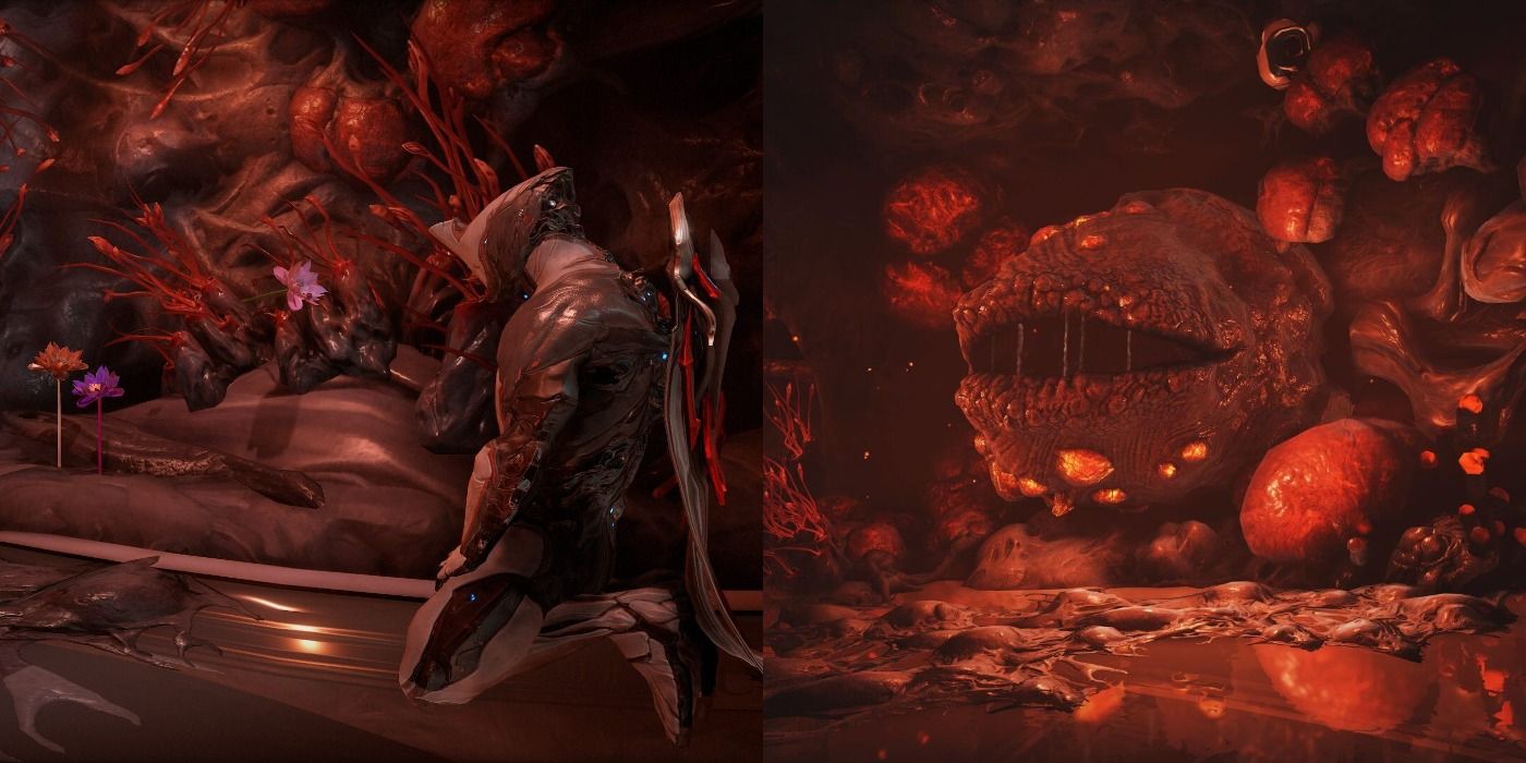 Warframe 10 Warframe Abilities To Subsume In The Revamped Helminth Room