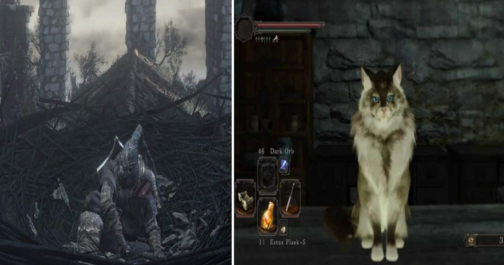 Dark Souls Pickle Pee 9 Other Extra Weird Npcs In The Series