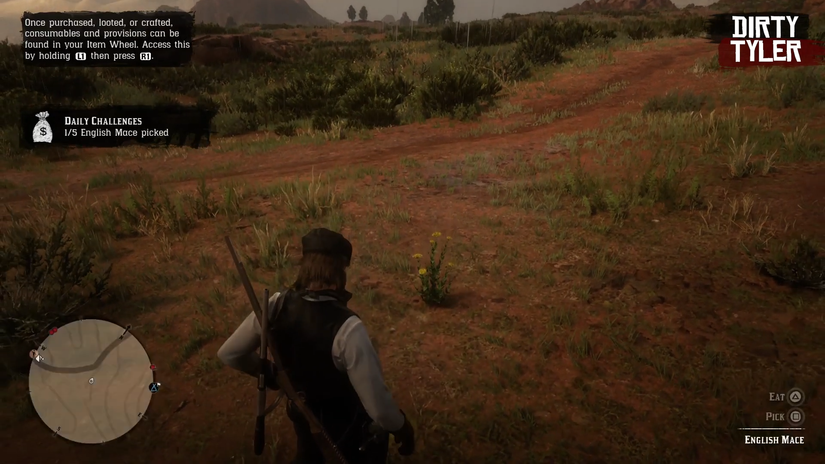 Red Dead Online: Longnose Gar And English Mace Locations