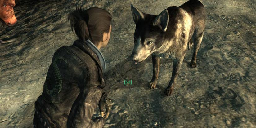 Fallout: 10 Silliest Perks In The Series