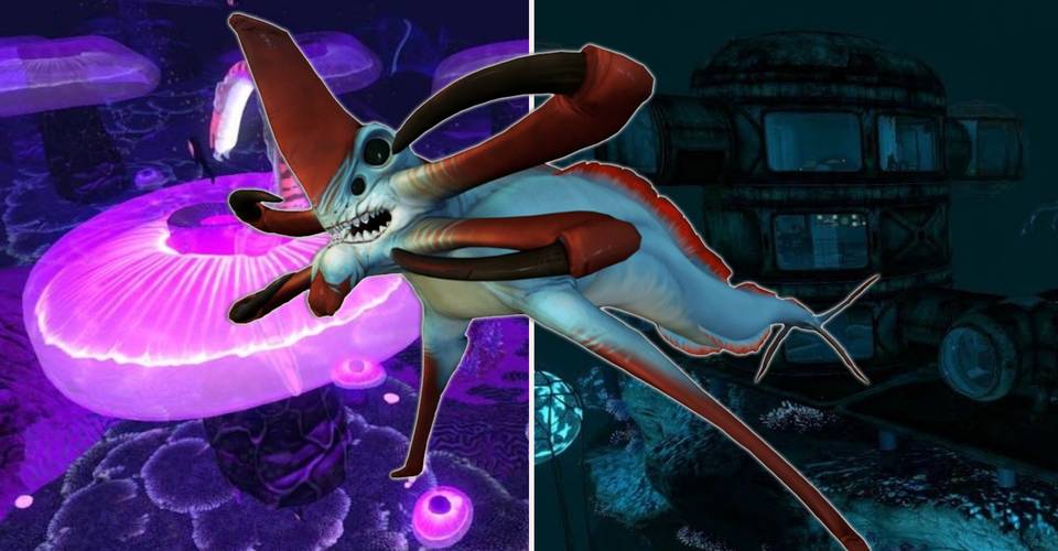 Subnautica 5 Scary Biomes You Can T Avoid And 5 You Can Subnautica 5 Scary Biomes You Can T Avoid And 5 You Can