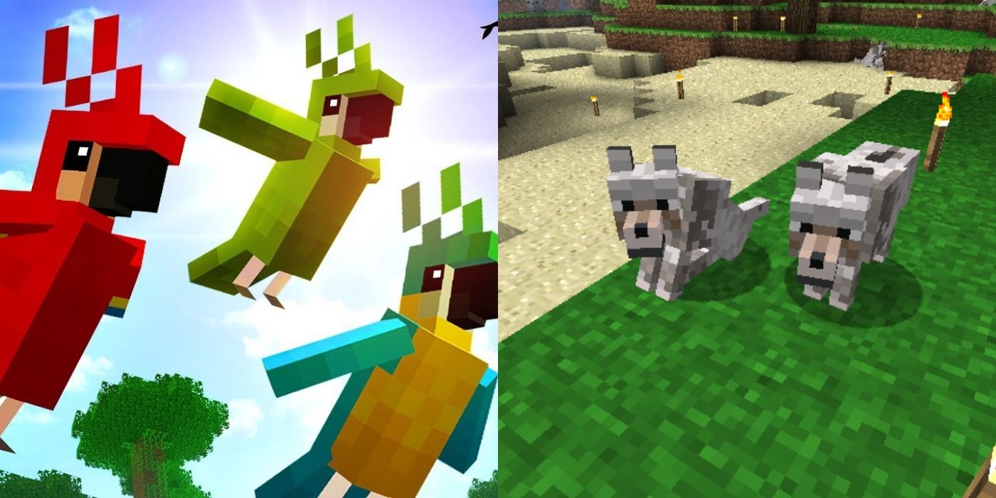 Minecraft: How To Tame Every Animal You Can | TheGamer