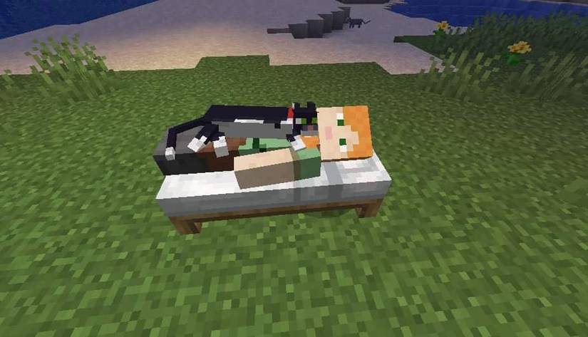 Minecraft: How To Tame Every Animal You Can