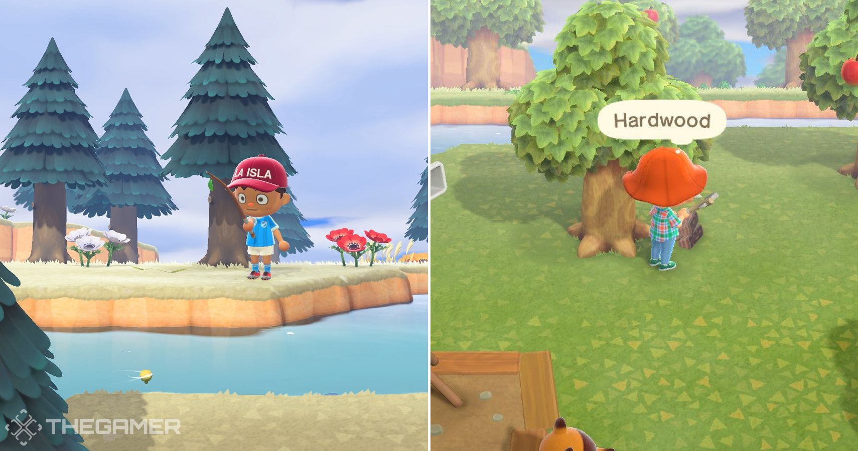 Animal Crossing New Horizons How To Get Acorns Pine Cones