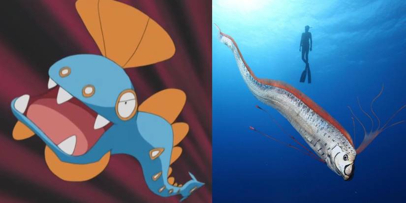 10 Fish Pokémon That Are Inspired By Real-Life Fish