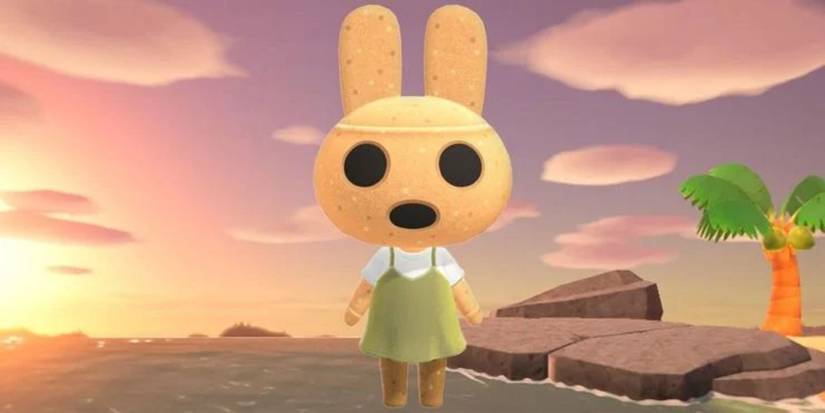 Animal Crossing Coco Villager