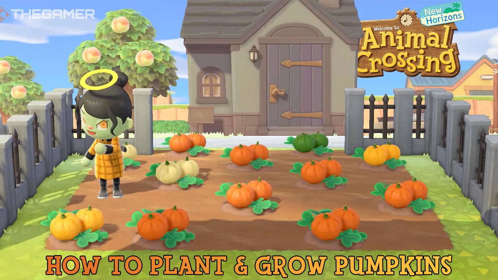 Animal Crossing: New Horizons - How To Plant & Grow Pumpkins