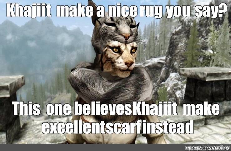 Elder Scrolls 10 Hilarious Khajiit Memes Thegamer