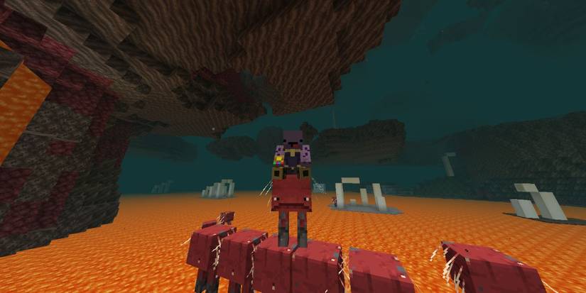 Minecraft: 10 Things You Didn't Know About Striders