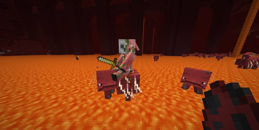 Striders Chest Minecraft: 10 Things You Didn't Know About Striders