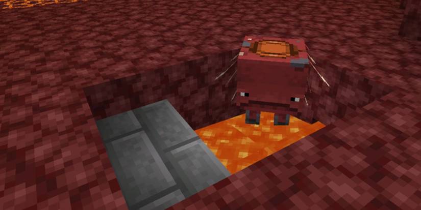 Minecraft: 10 Things You Didn't Know About Striders