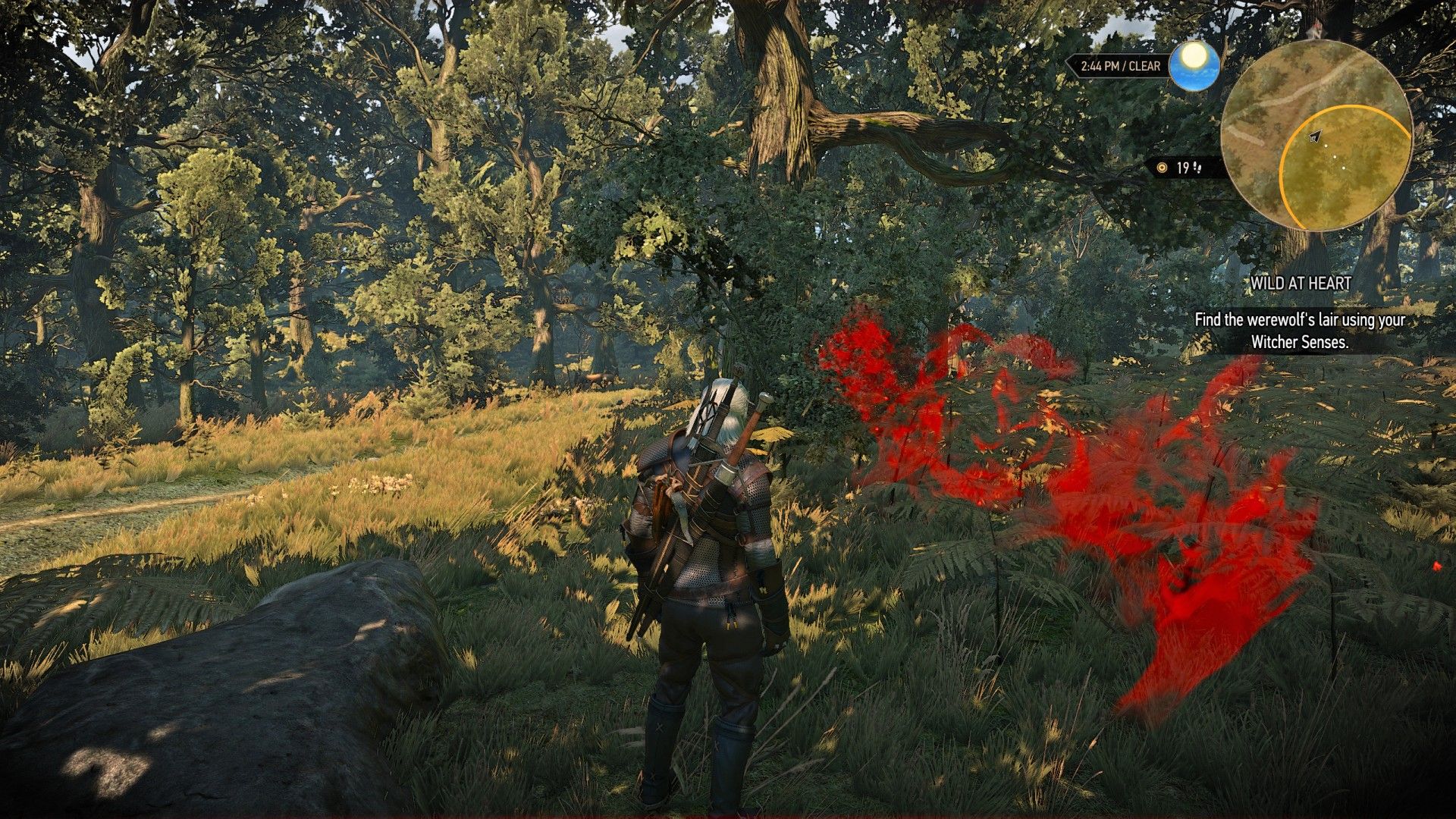 witcher 3 wild at heart strategy