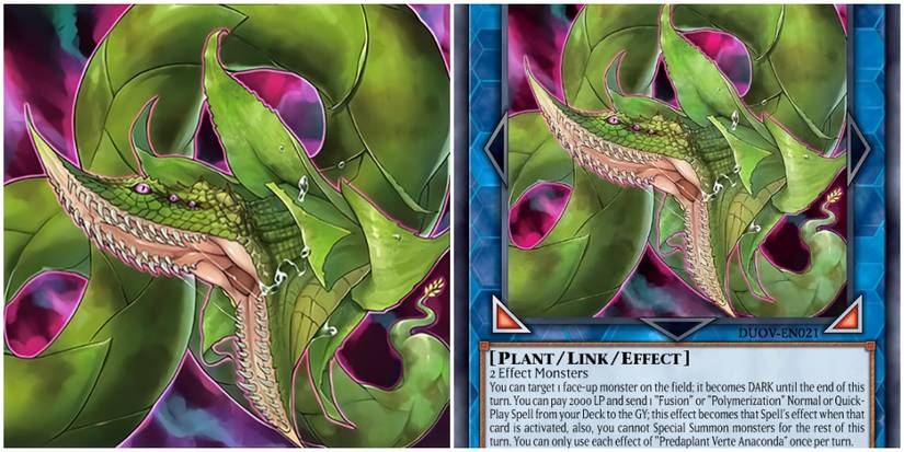 amazoness cards yugioh Yu-Gi-Oh: 10 Best Amazoness Cards main image 1