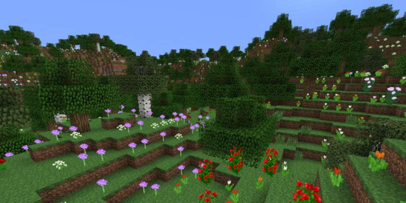 Minecraft: The Best Biomes In Survival Mode
