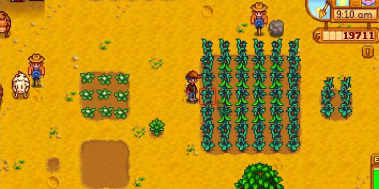 Stardew Valley 5 Best Crops To Grow In Spring 5 Worst