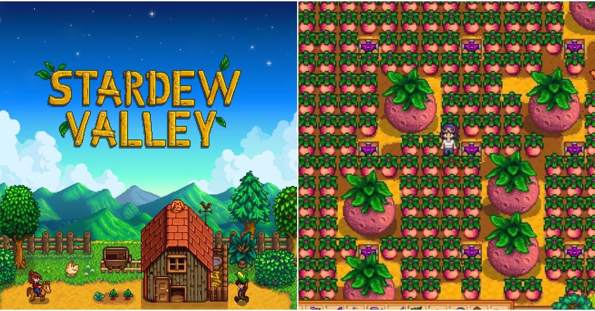 Stardew Valley: The Best And Worst Summer Crops