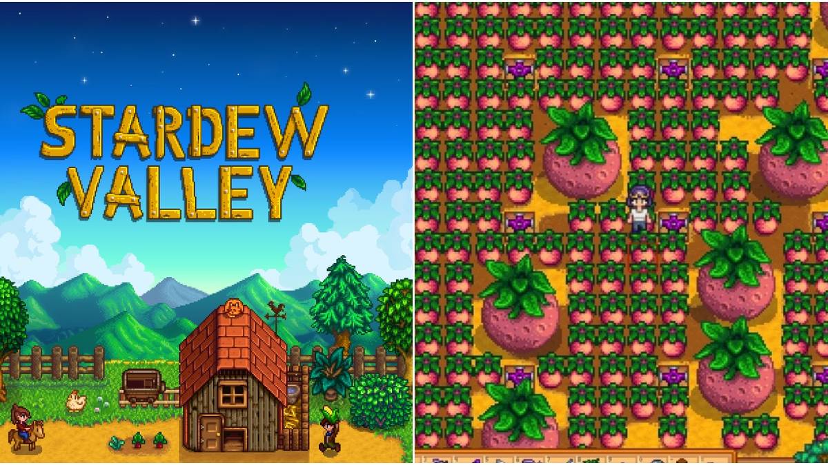 Stardew Valley: The Best And Worst Summer Crops