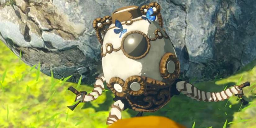 The Complete Story Of Hyrule Warriors: Age Of Calamity, Explained