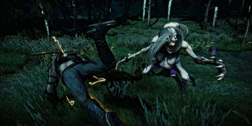 Witcher 3 Grave Hag