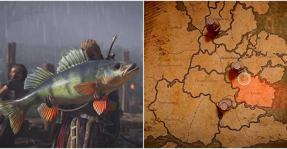 Assassin S Creed Valhalla 10 Best Spots For Fishing Thegamer