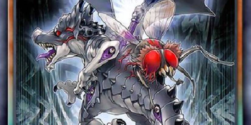 Yu-Gi-Oh! The 10 Best "Amorphage" Cards, Ranked Yu-Gi-Oh! The 10 Best "Amorphage" Cards, Ranked